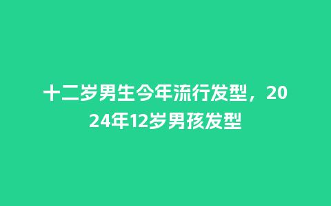 十二岁男生今年流行发型,2024年12岁男孩发型_服装百科_第1张_酷尚品 十二岁男生今年流行发型,2024年12岁男孩发型_https://www.kushangpin.com_服装百科_第1张