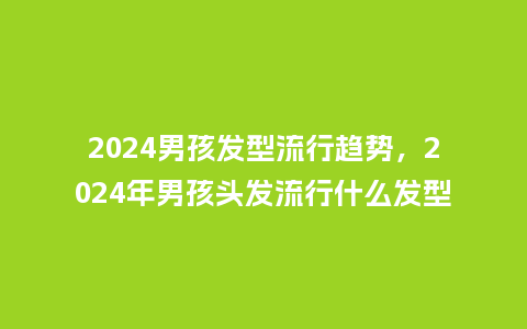 2024男孩发型流行趋势,2024年男孩头发流行什么发型_服装百科_第1张_酷尚品 2024男孩发型流行趋势,2024年男孩头发流行什么发型_https://www.kushangpin.com_服装百科_第1张