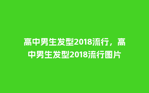 高中男生发型2018流行，高中男生发型2018流行图片_https://www.kushangpin.com_服装百科_第1张