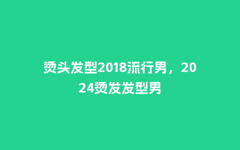 烫头发型2018流行男,2024烫发发型男_服装百科_第1张_酷尚品 烫头发型2018流行男,2024烫发发型男_https://www.kushangpin.com_服装百科_第1张