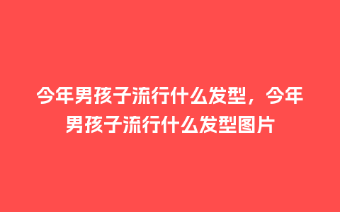 今年男孩子流行什么发型,今年男孩子流行什么发型图片_服装百科_第1张_酷尚品 今年男孩子流行什么发型,今年男孩子流行什么发型图片_https://www.kushangpin.com_服装百科_第1张