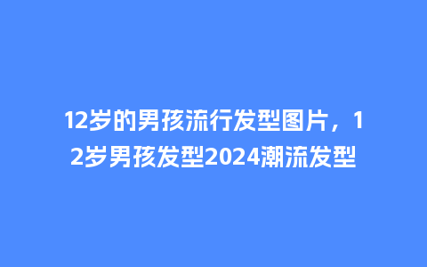 12岁的男孩流行发型图片,12岁男孩发型2024潮流发型_服装百科_第1张_酷尚品 12岁的男孩流行发型图片,12岁男孩发型2024潮流发型_https://www.kushangpin.com_服装百科_第1张