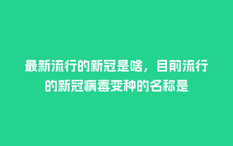 最新流行的新冠是啥,目前流行的新冠病毒变种的名称是_服装百科_第1张_酷尚品 最新流行的新冠是啥,目前流行的新冠病毒变种的名称是_https://www.kushangpin.com_服装百科_第1张