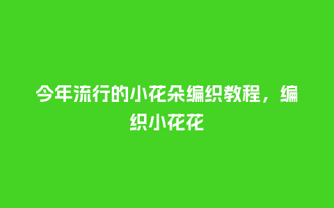 今年流行的小花朵编织教程,编织小花花_服装百科_第1张_酷尚品 今年流行的小花朵编织教程,编织小花花_https://www.kushangpin.com_服装百科_第1张