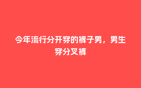 今年流行分开穿的裤子男,男生穿分叉裤_服装百科_第1张_酷尚品 今年流行分开穿的裤子男,男生穿分叉裤_https://www.kushangpin.com_服装百科_第1张